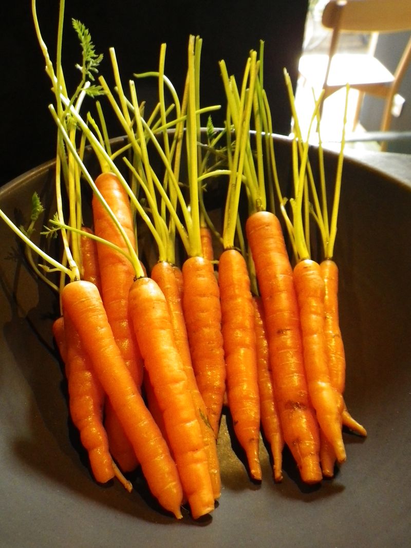 Mini carottes Mini carottes