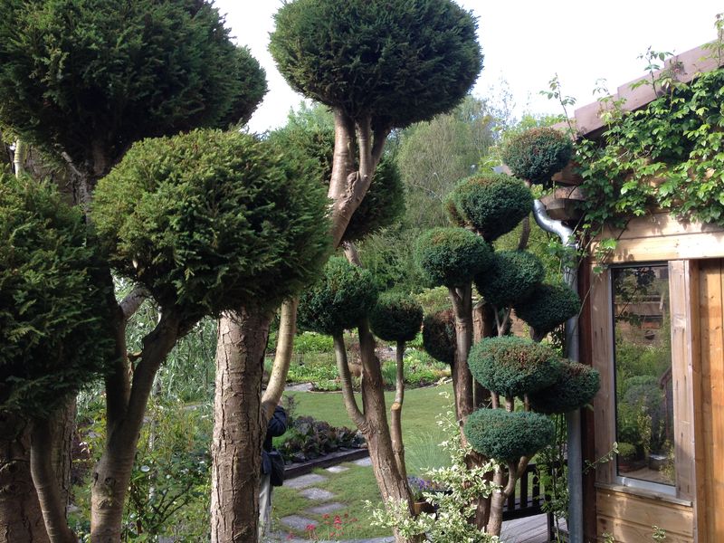 Photo 19-05-2015 09 41 14 Photo 19-05-2015 09 41 14