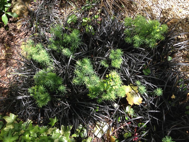Photo 19-05-2015 11 25 25 Photo 19-05-2015 11 25 25