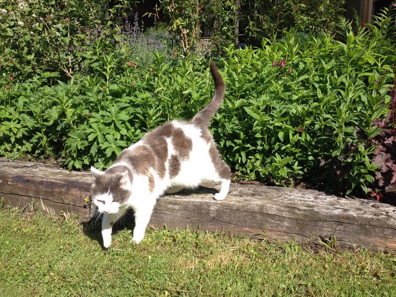 Photo 19-05-2015 10 21 39 Photo 19-05-2015 10 21 39