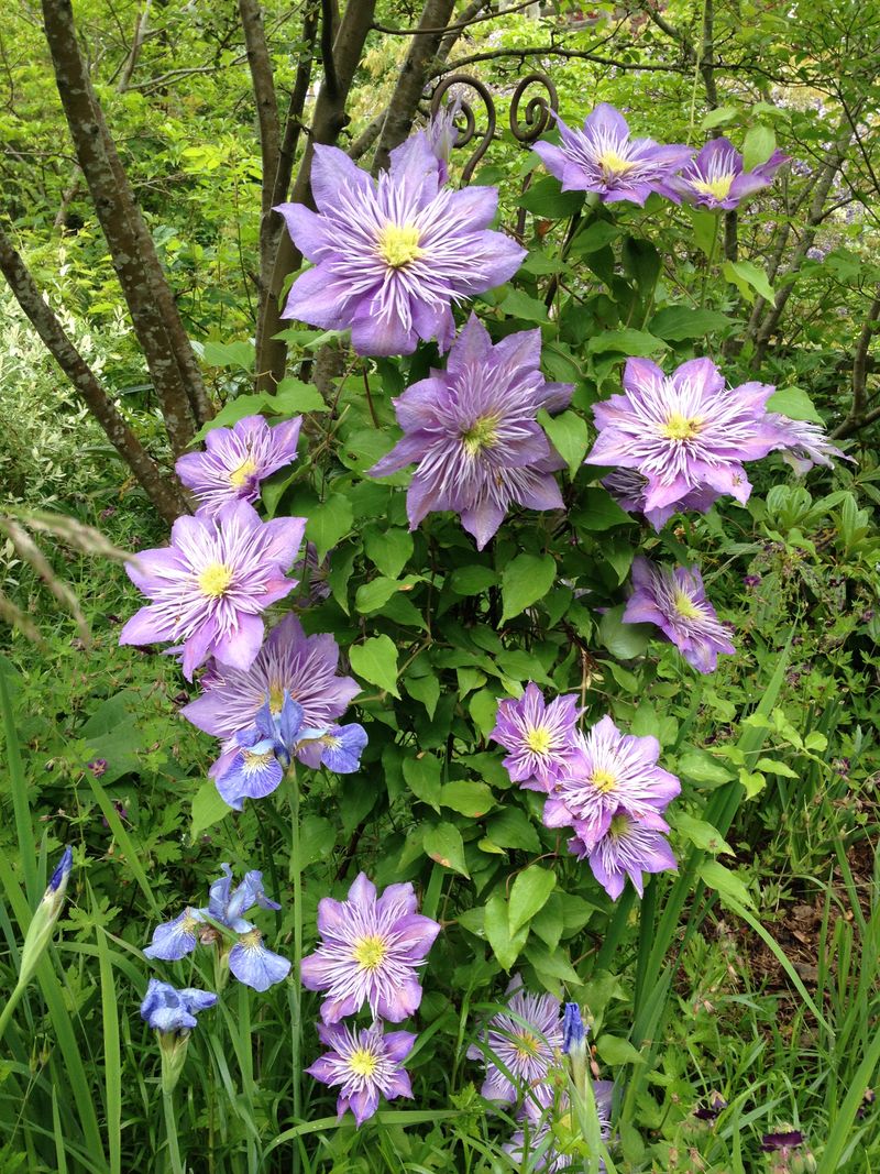 Photo 19-05-2015 12 07 53 Photo 19-05-2015 12 07 53