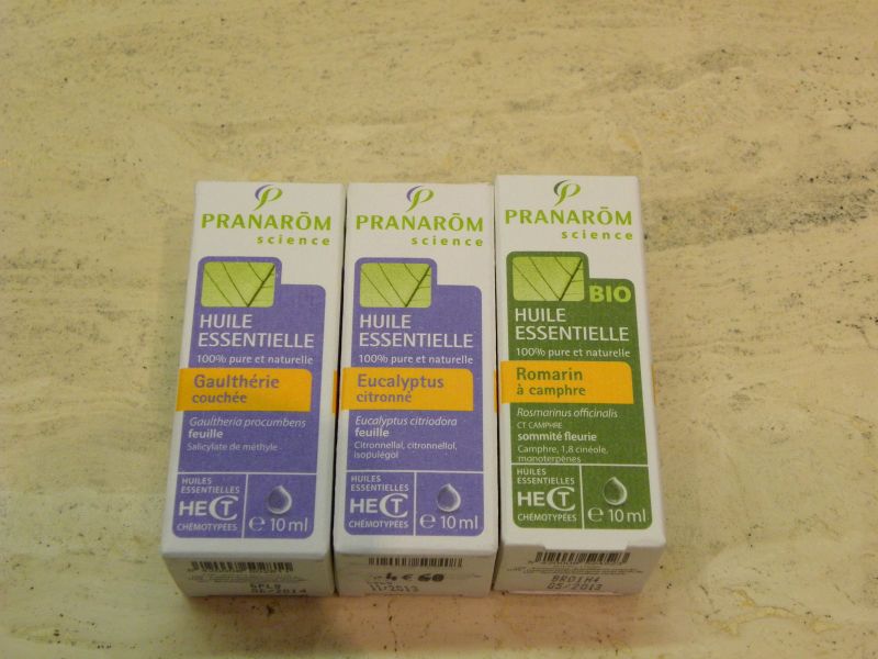 Gaulth_rie_eucalyptus_romarin