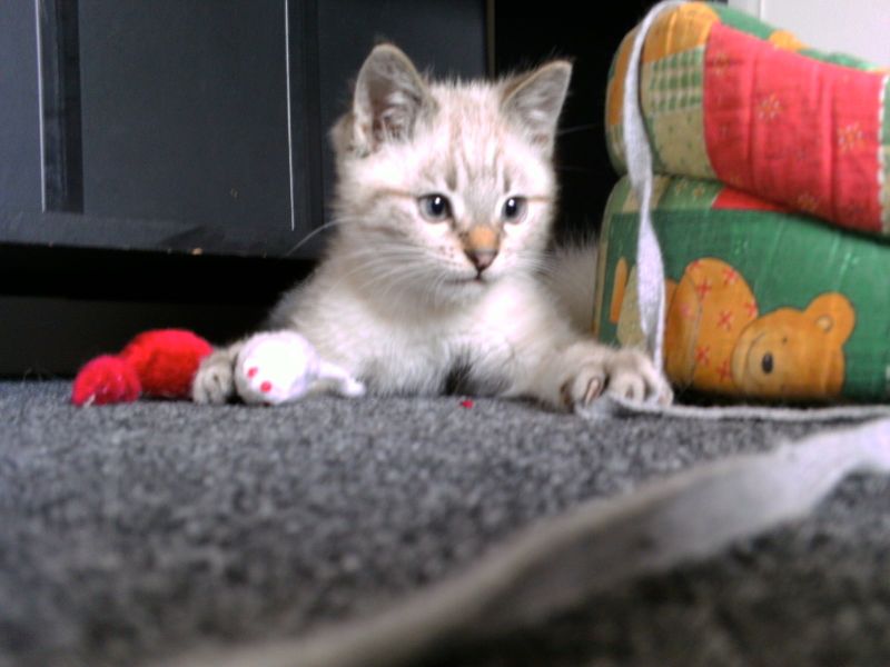 PICT0109