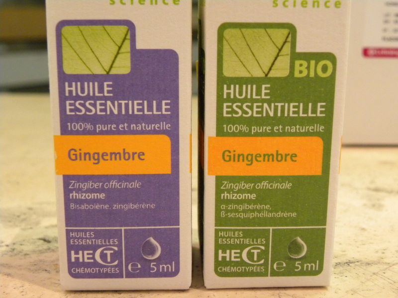 Gingembre