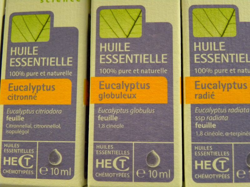 3 eucalyptus