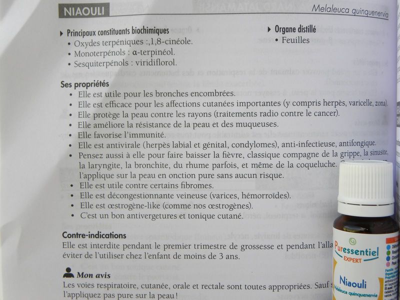 Niaouli