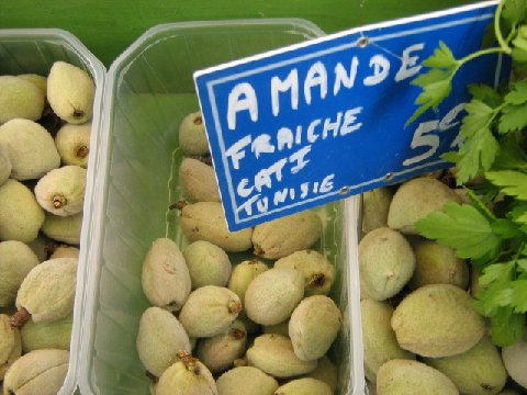 Amandes%20fraîches