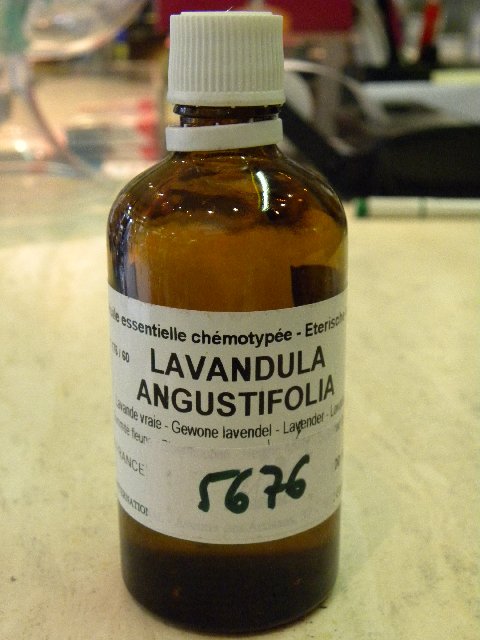Lavande