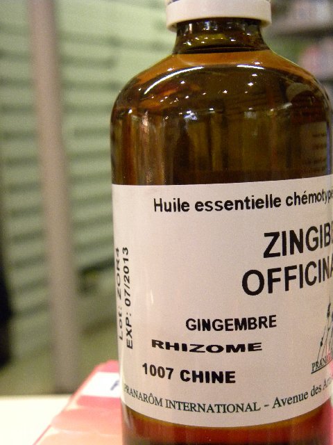 HE%20gingembre-3