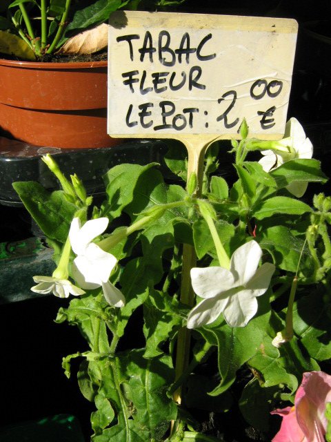 Tabac
