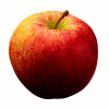 Pomme
