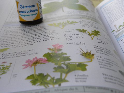 G?ranium%20rosat