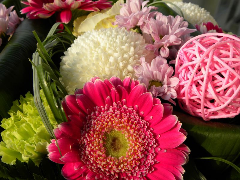 Fleurs