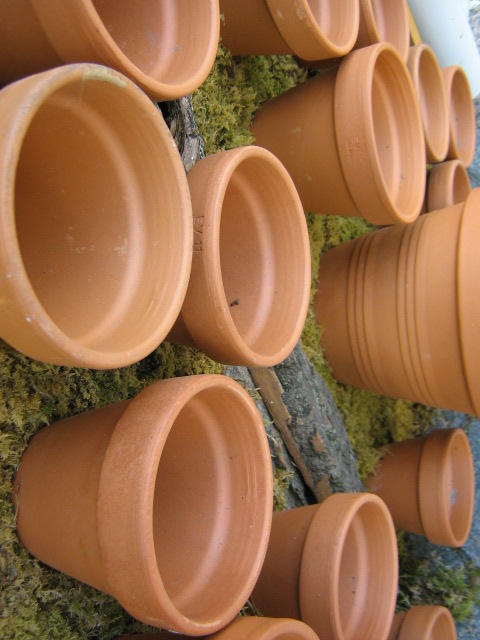 Pots 2
