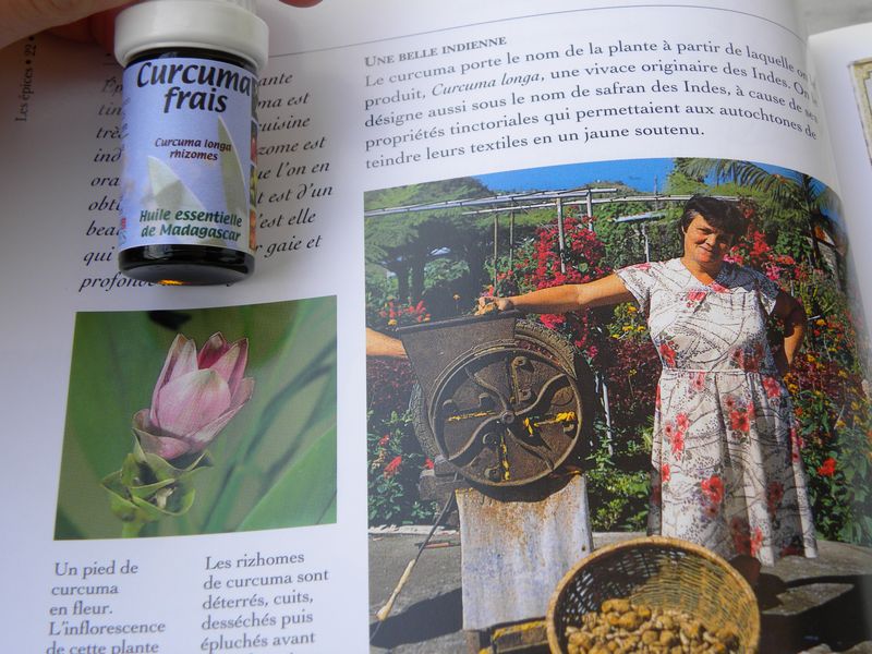 Curcuma Curcuma