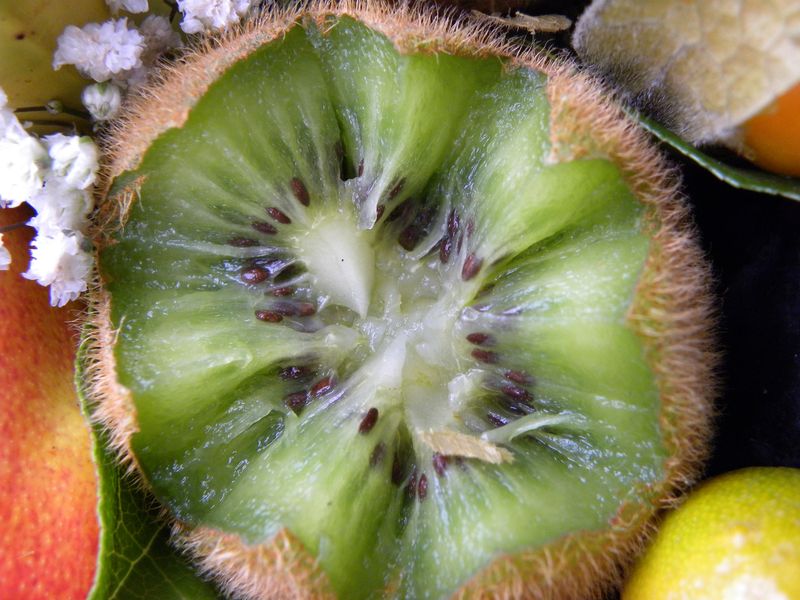 Kiwi ouvert