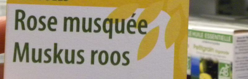 HV rose musquée 1-1