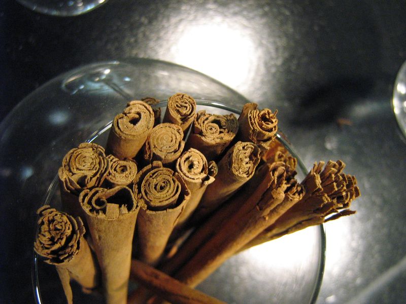 Cannelle1