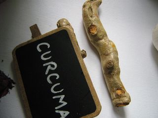 Curcuma