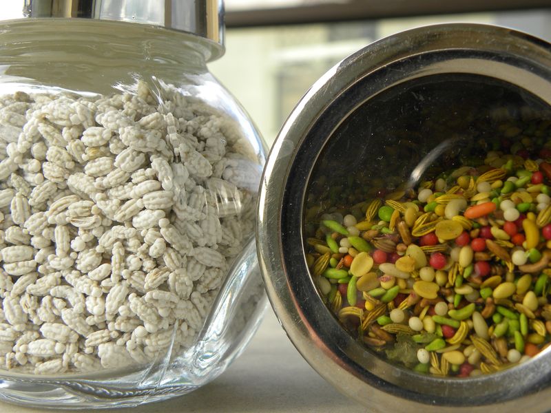 Fenouil et pan masala1
