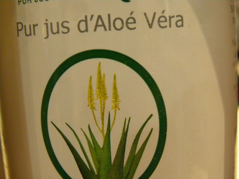 Aloé véra3