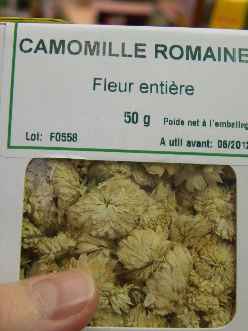 Camomille romaine