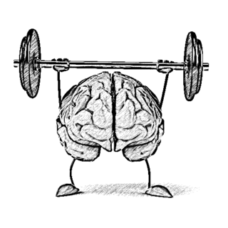 Cerveau_forme