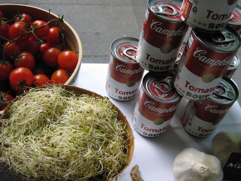 Graines germées tomato soup tomate cerise