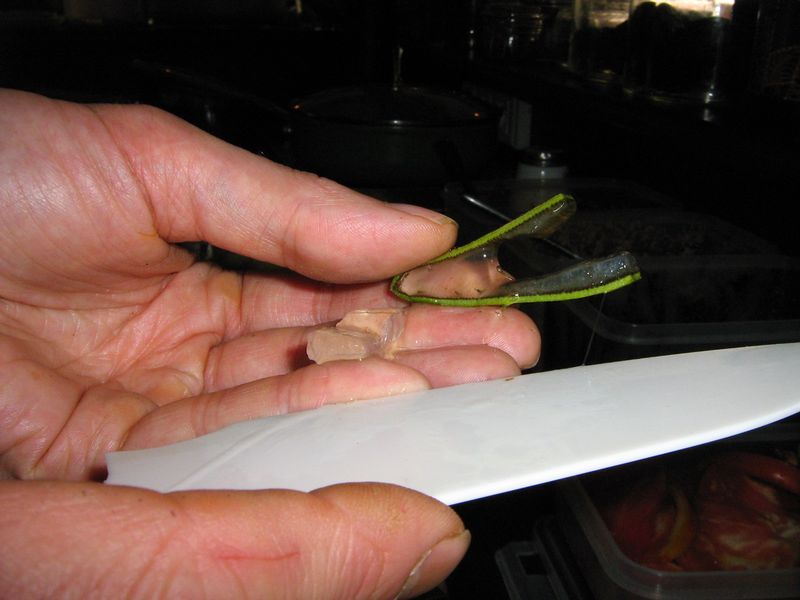 Tranche aloe vera6