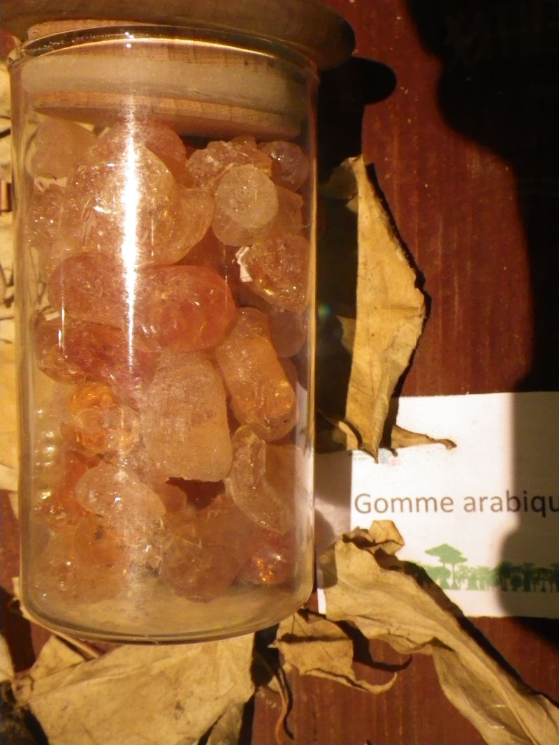 Gomme arabique