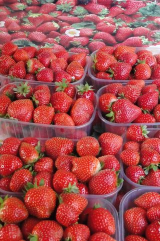 Fraises