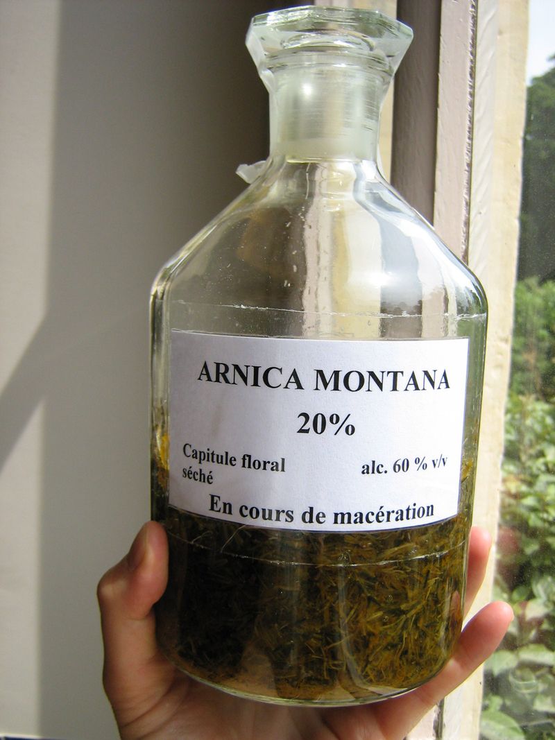 Arnica 3