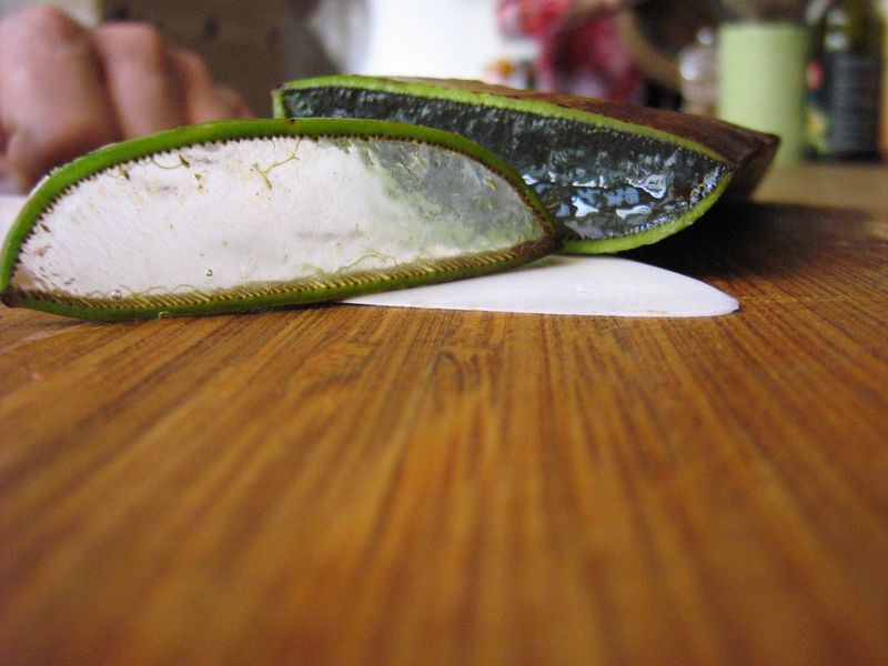 Tranche aloe vera2