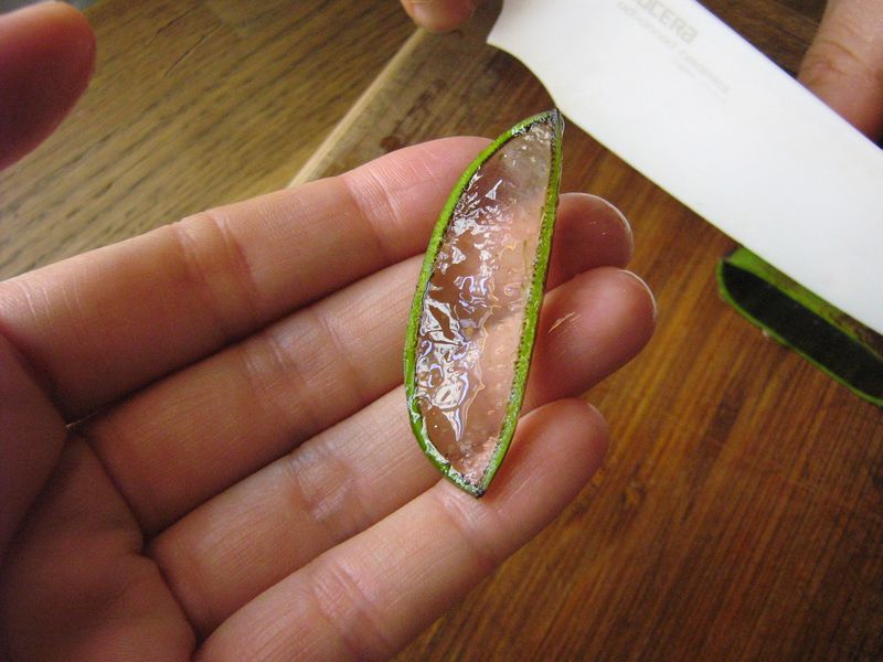 Tranche aloe vera3