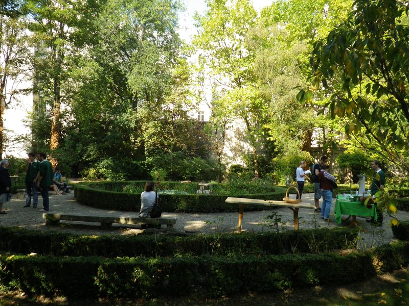 IMGP1641