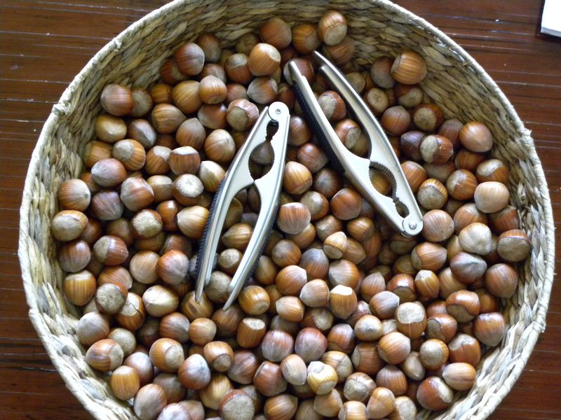 Noisette Noisette
