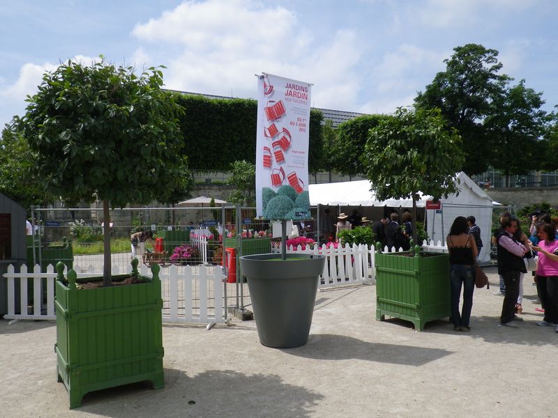 IMGP4124