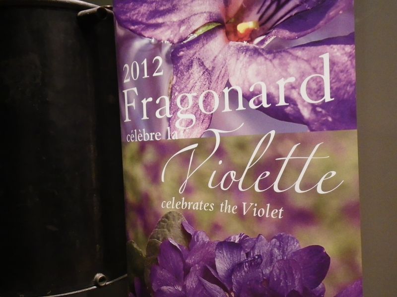 2012 année de la violette