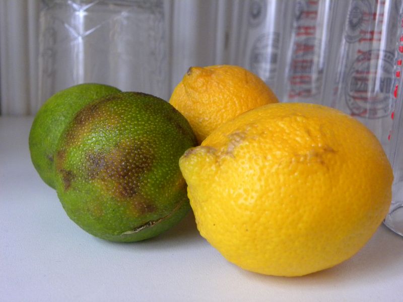 Citron jaune vert3