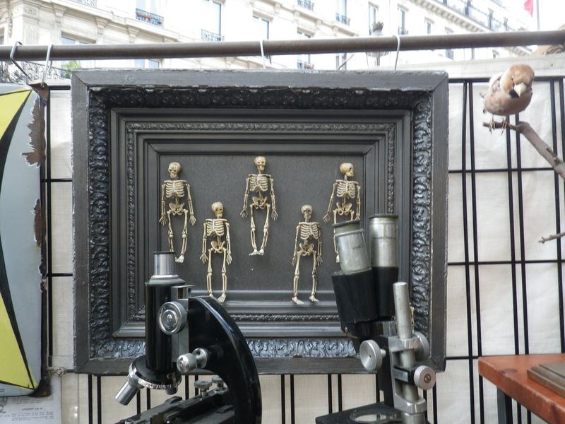 IMGP3632