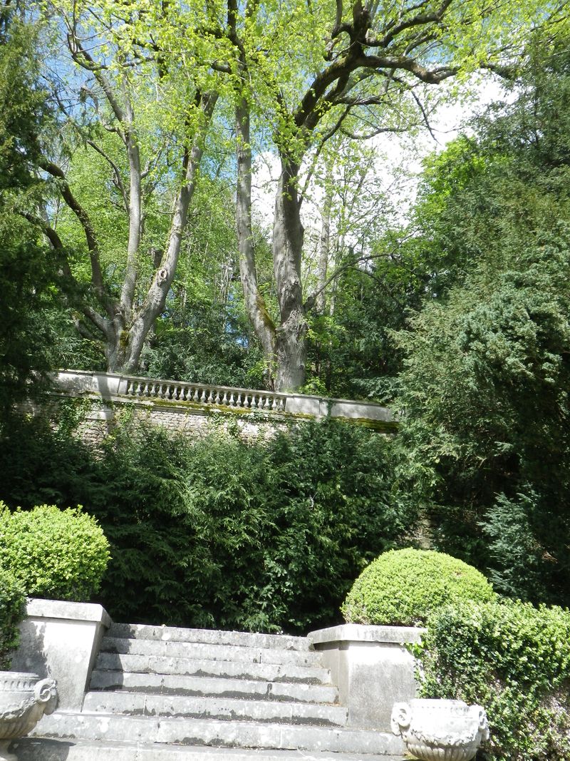 IMGP3772