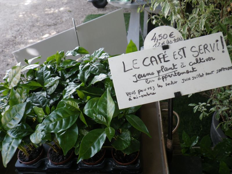 Café