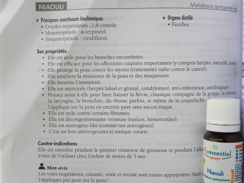 Niaouli