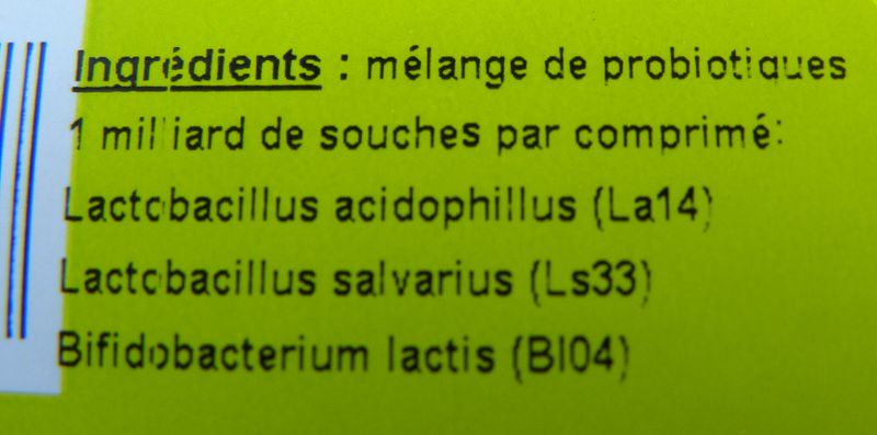 Mélange probiotiques lactobacillus