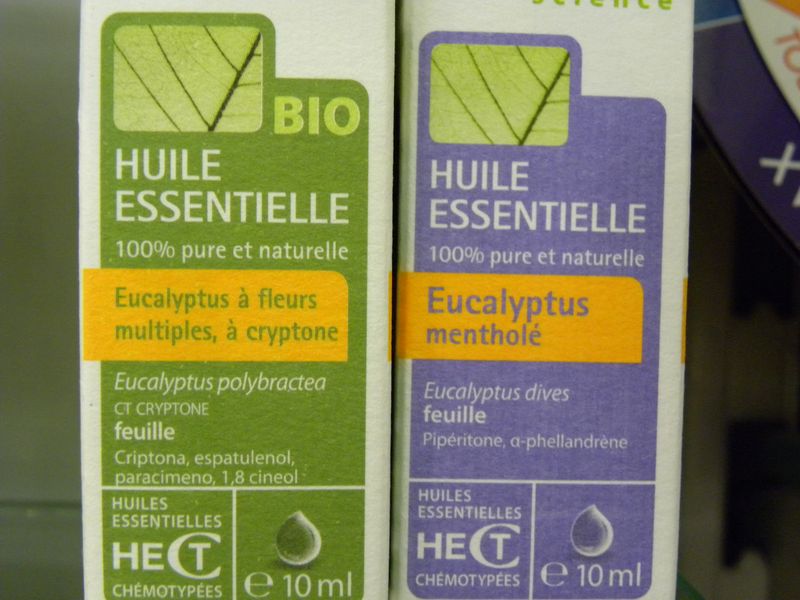 Eucalyptus