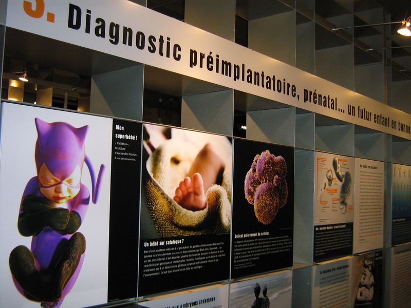 Bébé en devenir