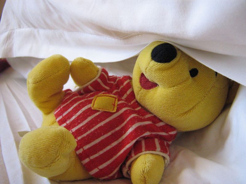 Pooh lit