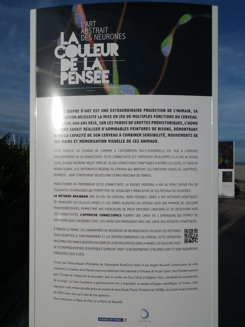 IMGP4768
