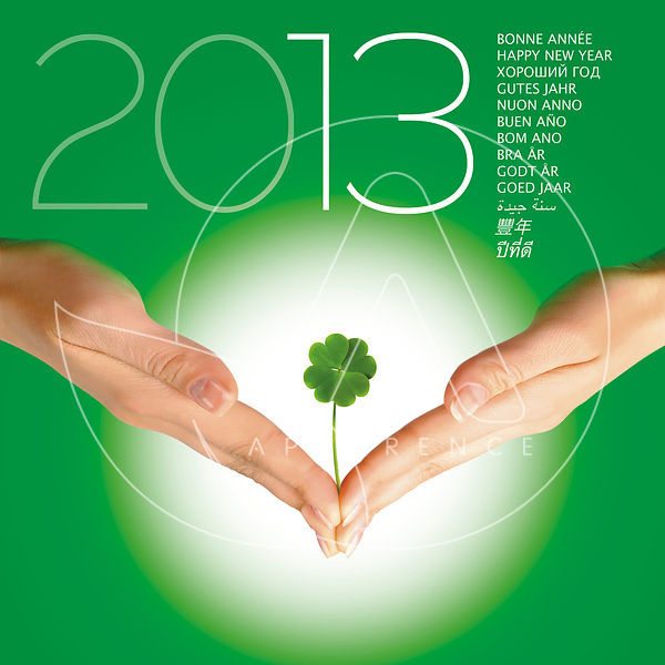 2013-lucky-voeux_xlarge