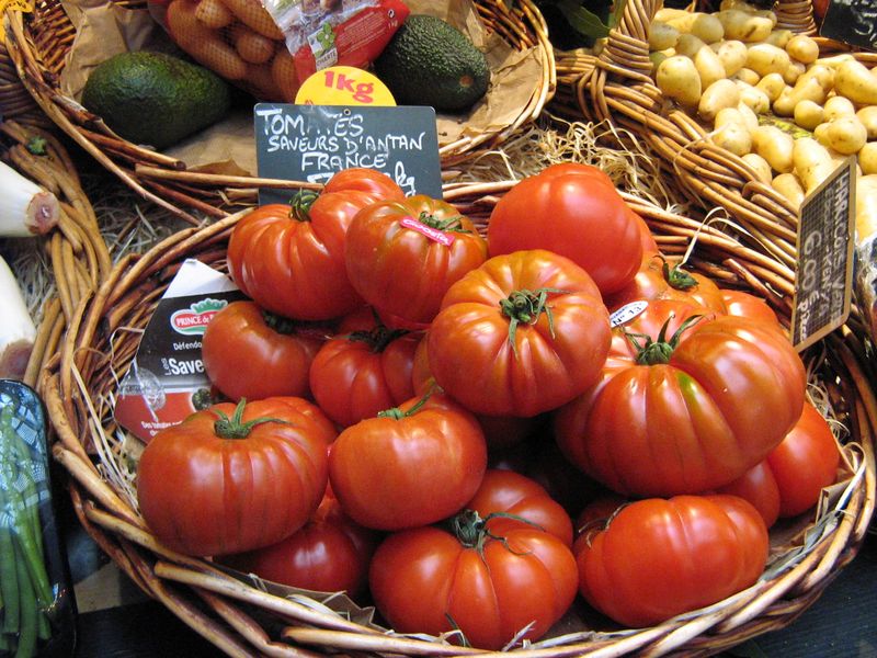 Tomates saveurs d'antan autrefois
